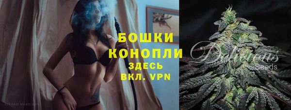 прущие крисы Магадан