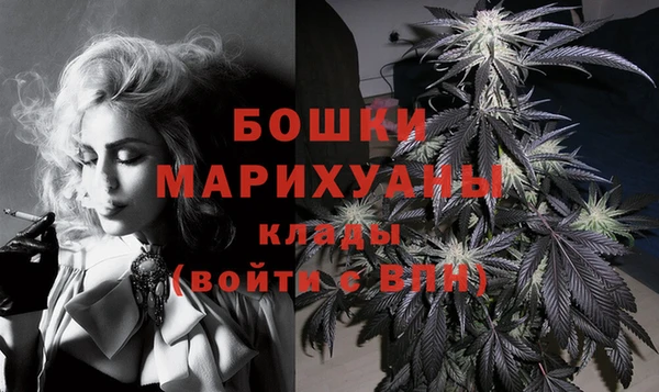 гидра Чегем