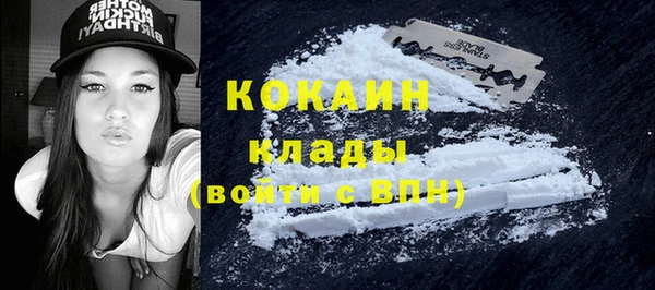 Альфа ПВП Магас