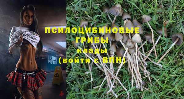 прущие крисы Магадан