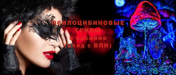 Альфа ПВП Магас