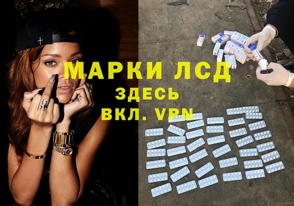 винт Алзамай