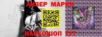 2c-b Кингисепп