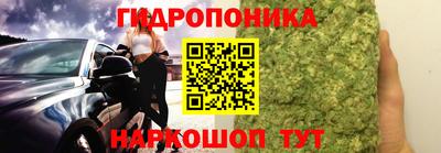 гашик Берёзовский