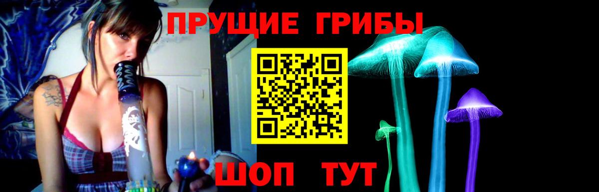 Мыски  что такое наркотик  Вход с VPN  Галлюциногенные грибы GOLDEN TEACHER  Псилоцибиновые грибы ЛСД 